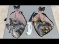 How To Fillet Sheepshead