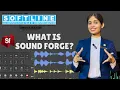 Sound Forge Explained by Kareena Mam Complete Guide to Editing
