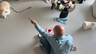 Лай, беспокойство, неуверенность, навязчивость (Часть 1, Дом)