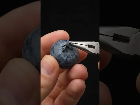 I Used Pliers on a Blueberry… 🫐🔍 #Shorts