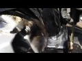 SSR 125 smoking and shooting oil out of the seam in the case