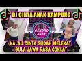 Download Lagu DJ CINTA ANAK KAMPUNG || DJ PARGOY VIRAL TIKTOK TERBARU 2022 FULL BASS