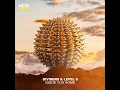 Guide You Home - Diviners & Level 8