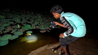 🌙⛺ Midnight Camping with My Chippiparai Dog 🐕🎣 | Night Fishing Adventure