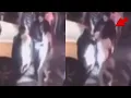 The Death of King Von