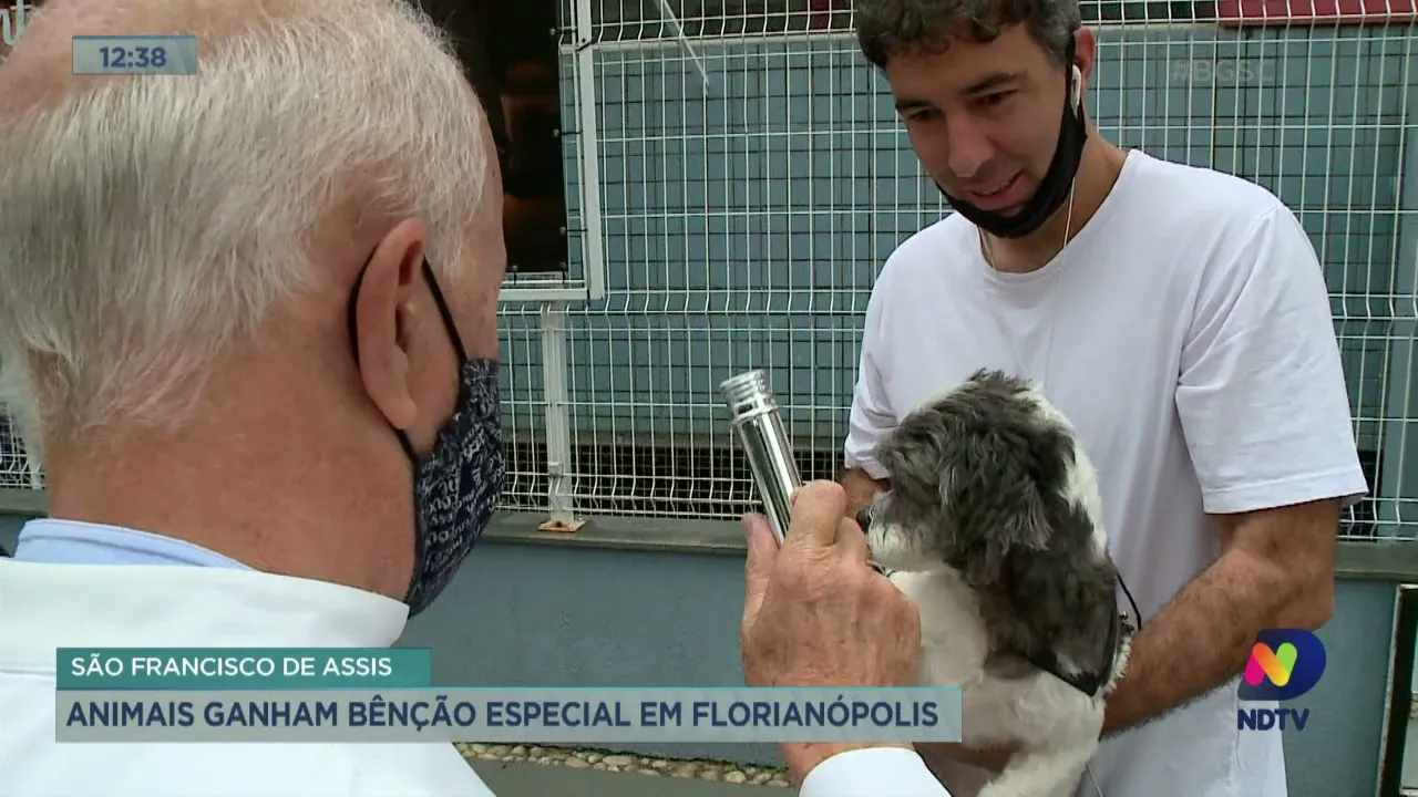 São Francisco de Assis: animais ganham benção especial