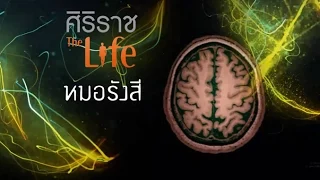 รังสีแพทย์คือใคร และทำหน้าที่อะไรในการตรวจวินิจฉัยโรค
