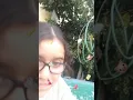 Download Lagu she is alwese on tik tok meme