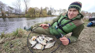 Риболовля Листопад Отримали штраф за риболовлю Риби Вагон 