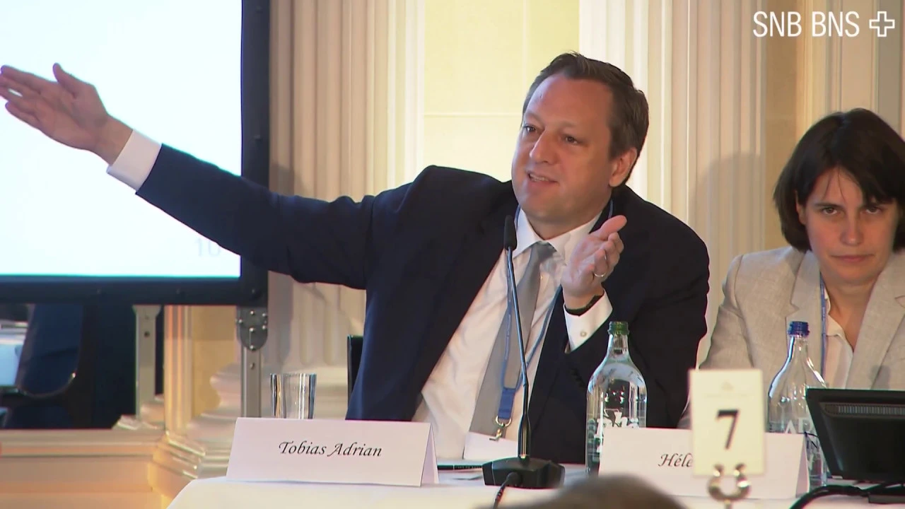 Panel Discussion, 8th High-Level Conference on the International Monetary System, 08.05.2018