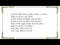 Elizabeth Mitchell - Skip to My Lou Lyrics