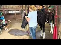 Sally to be at Vale Sale 25