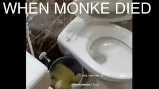 WHEN monkekong177 And MonkeyBoo died