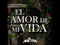 El Amor de Mi Vida