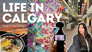 life in calgary home for the holidays bingo night dji osmo pocket 3 uofc tour letitia s 2025