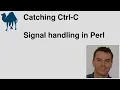 Signal handling in Perl - Catching Ctrl-c