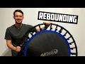 The Surprising Benefits of Rebounding
