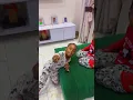 Download Lagu 😂😂😂😂😂😂 #dailyshorts #funny #boy #siblings
