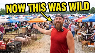 We went to the BIGGEST FLEA MARKET It was CRAZY