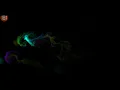 Bailero Sarah Brightman Fluid Sim