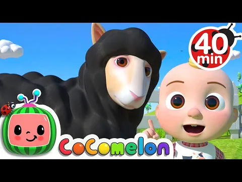 Download MP3 Baa Baa Black Sheep Song + More Nursery Rhymes \u0026 Kids Songs - CoComelon