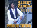 Puno De Tierra
