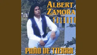 puno de tierra