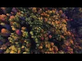 Brilliant fall colors in Northern Wisconsin