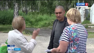 Жители микрорайона Московка обеспокоены вырубкой берез