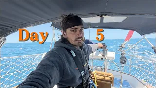 Day 5 of Pacific Crossing as a Solo Sailing Super Nooob