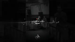 معروفة ضالمة نتيا تصميم فيديوهات اكسبلور اهميه لايك تصميمي تيك توك تصاميم شاشة سوداء 