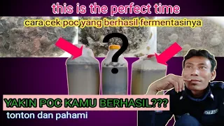 Download cara cek pupuk cair yang berhasil fermentasinya | cara fermentasi pupuk cair | poc MP3