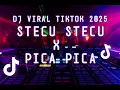 Download Lagu DJ STECU STECU X PICA PICA 🎶🎵 DJ VIRAL TIKTOK 2025