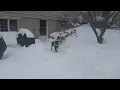 Rufus and his snow-throw-cone