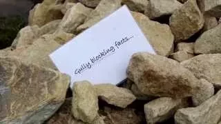 Conservation techniques - gully blocking