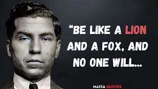 Best Gangster Mafia Quotes About Life Money Loyalty