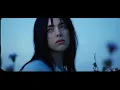 Billie Eilish - WILDFLOWER (Music Video)