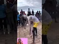 Download Lagu Terjun ke Laut dengan Gaya Unik: Siapa yang Paling Konyol? 😂 #shorts #funny #funnyvideo
