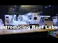 Download Lagu Reefs.com - First look at Reef Labs.
