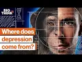 Lagu 7 dimensions of depression, explained | Daniel Goleman, Pete Holmes \u0026 more | Big Think