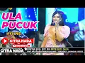 Download Lagu ULA PUCUK ~ AYU WD // CITRA NADA LIVE DS.BLANDONG - DESA PESANTREN // ULUJAMI - PEMALANG