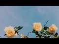 Mawar Jingga | Lyrics [Juicy Luicy]