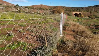 من أرشيف الزمن الجميل للمرحوم محمد رويشة عيت نسال وسول عقلي عاش مهول 