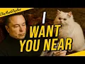 Elon Musk : When You Sit Close to Me… Everything Finally Makes Sense