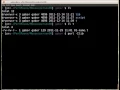 Moose Testing the constructor