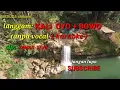 Download Lagu Langgam KALI OYO + BOWO.  cip: Dimas Tejo.  Tanpa vocal ( karaoke ). Lirik.