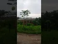 Download Lagu Ko bukan pelangi.