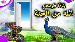 لماذا طرد الله تعالى الطاووس والثعبان من الجنة   دندنها