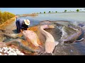 Download Lagu Fishing unique skill, a man catch fish by hand