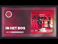 Download Lagu Jan van Brusselband - In Het Bos (Officiële Audio)
